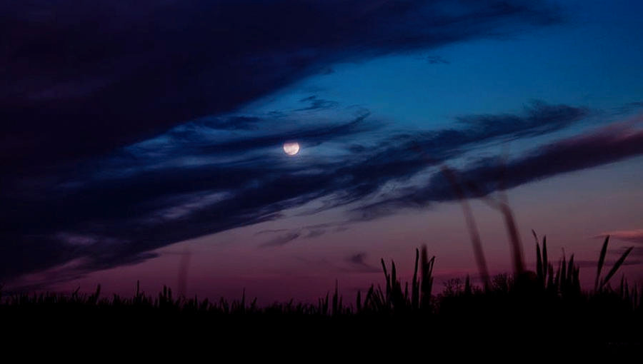 Moonrise over the country