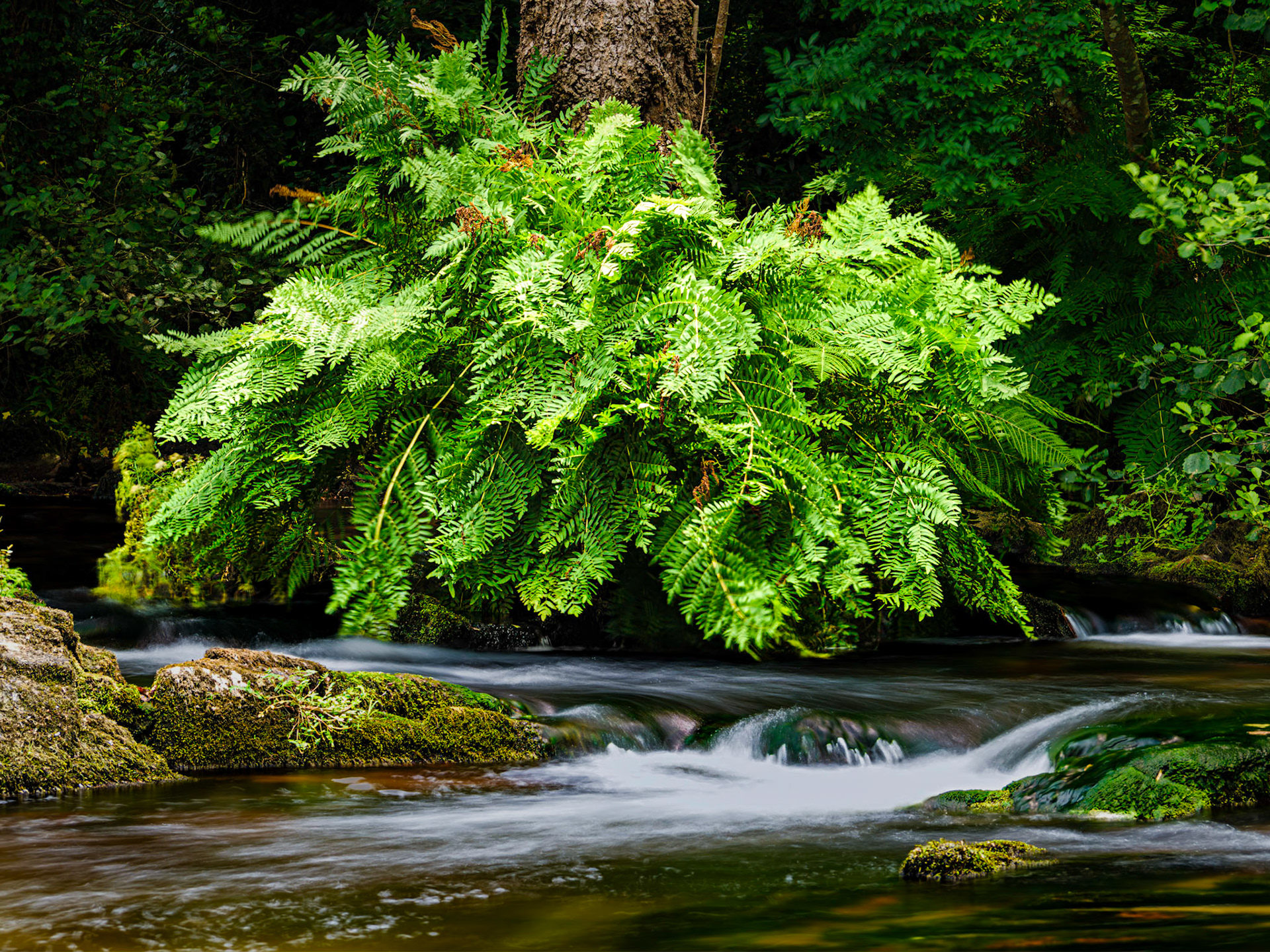 Refuxio de Verdes, Coristanco