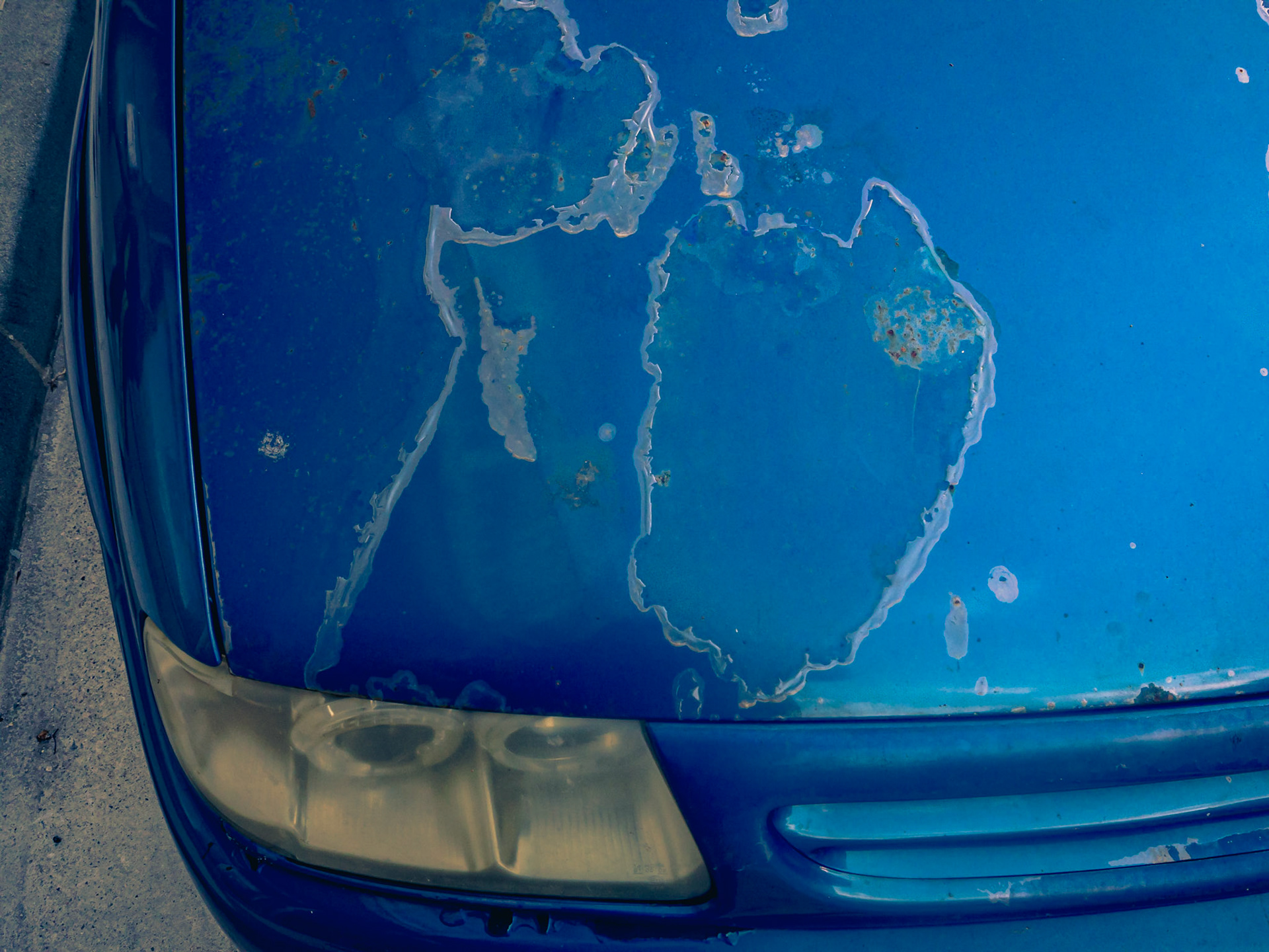 Coche, 2022