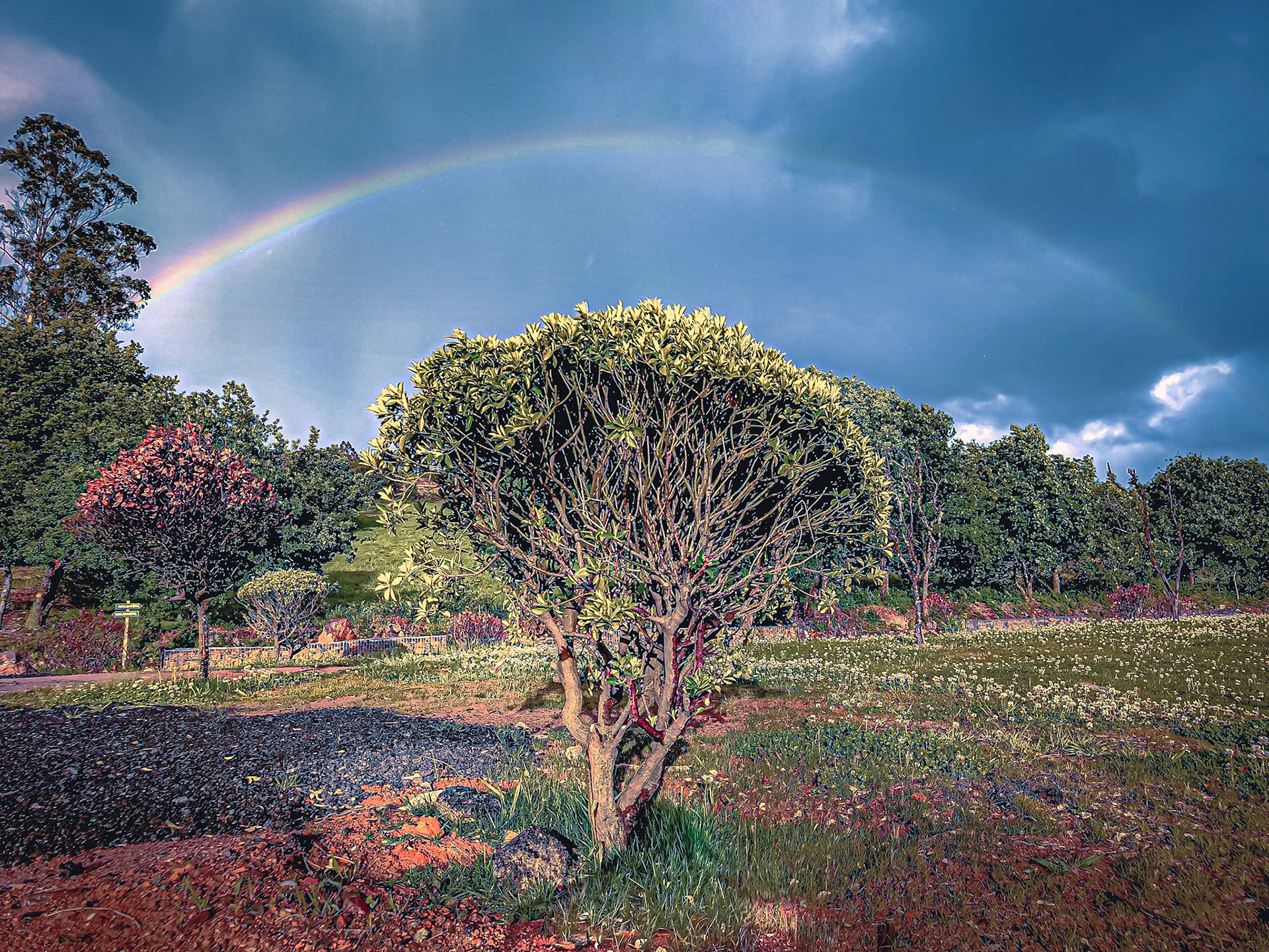 Senda Mitolóxica, Santiago de Compostela