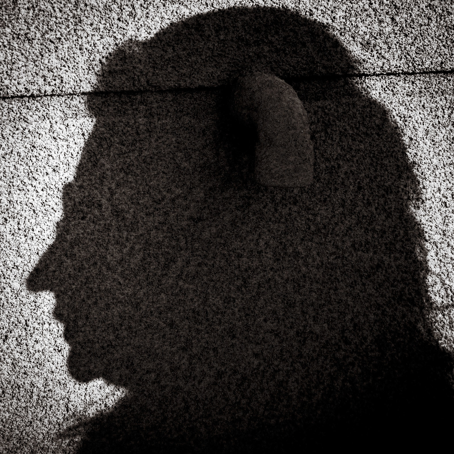 Perfilado, 2019