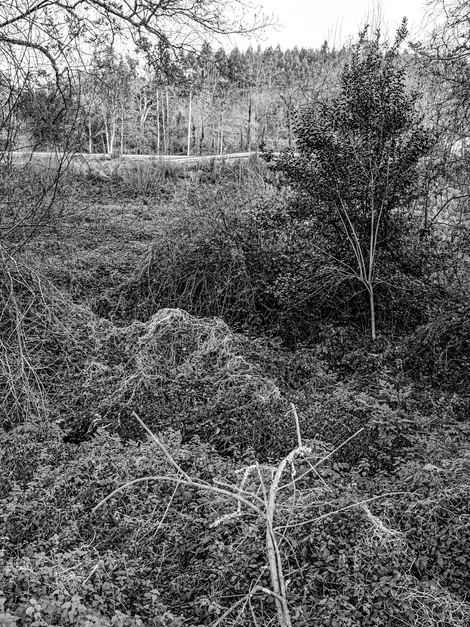 Santiago de Compostela