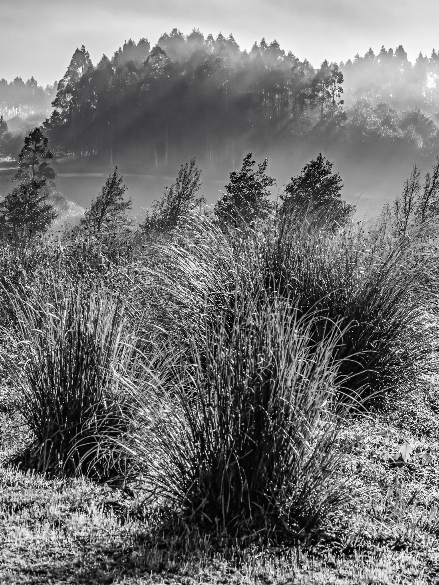 Santiago de Compostela