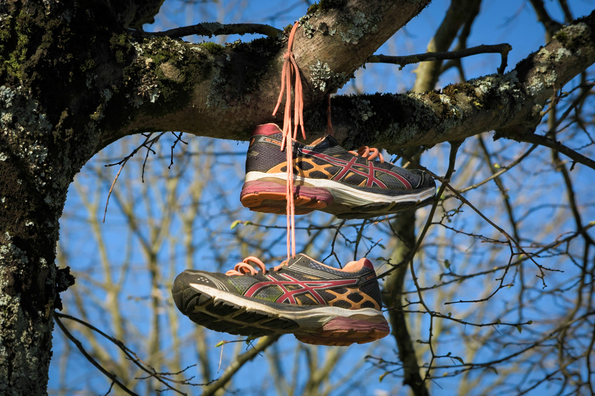 Zapatillas, 2019