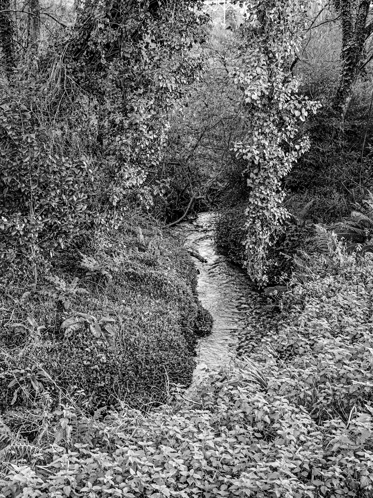 Santiago de Compostela