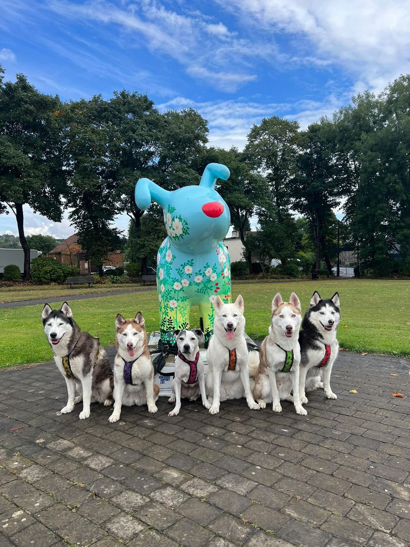 'Snow Dog-rose' in Cleckheaton Memorial Park