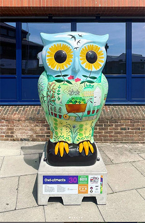'Owl-otments' on the Big Hoot trail, Ipswich