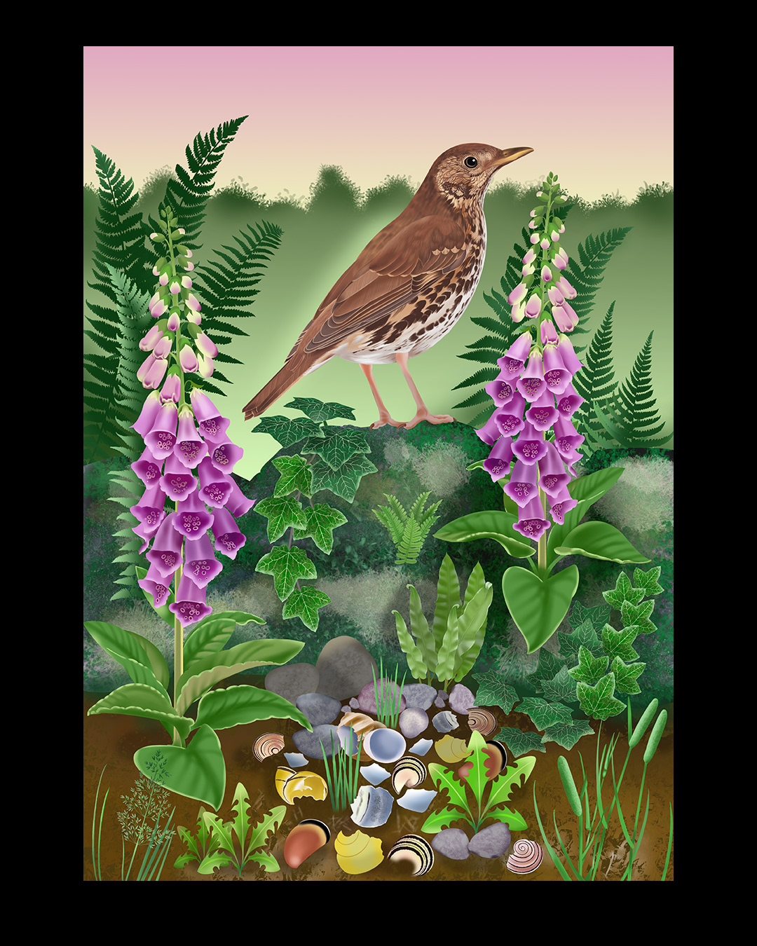 Songthrush