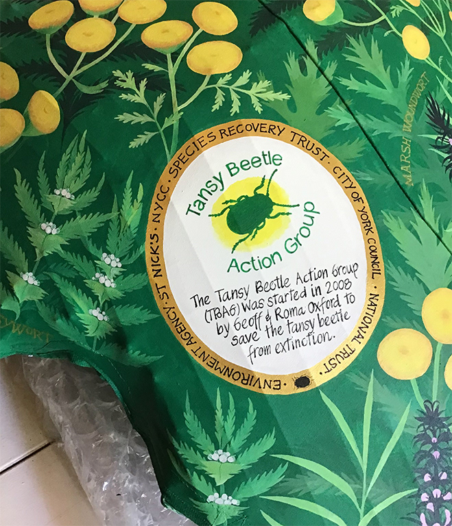 Introduction to Tansy Beetle Action Group