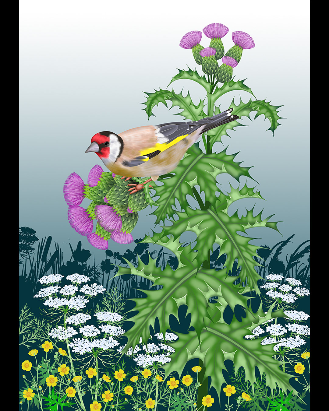 Goldfinch