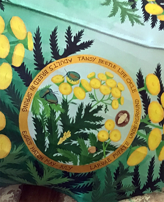 ...and here's their life cycle.