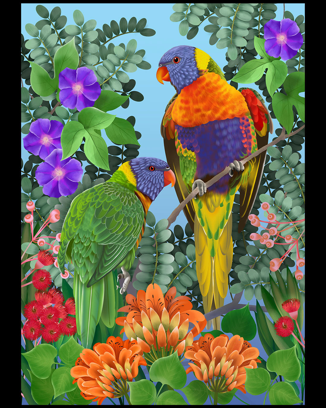 I'm not sure if these raucous rainbow lorikeets quialify as songbirds, but they do make a noise!