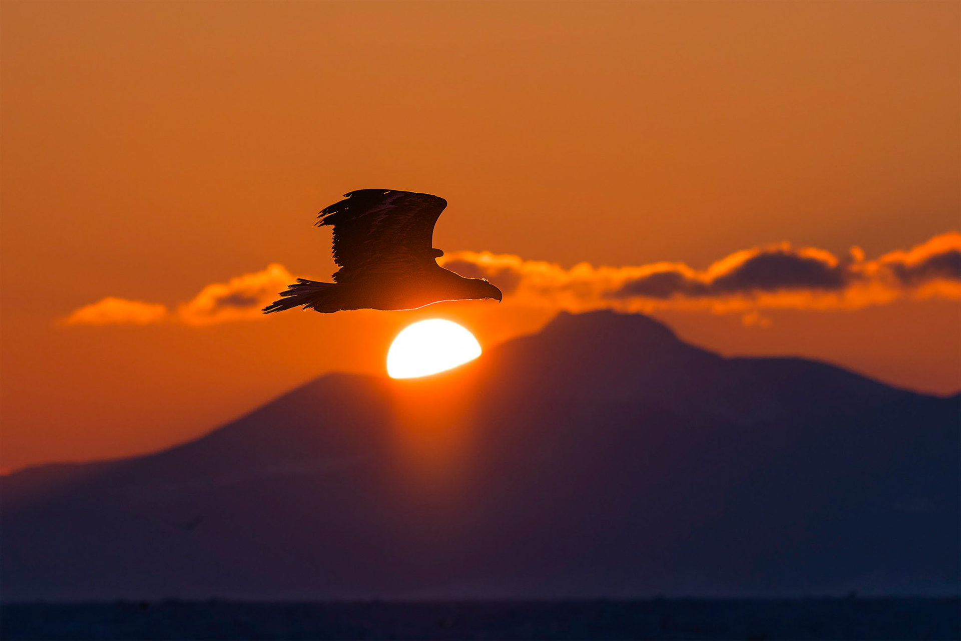 The dawn of the eagle