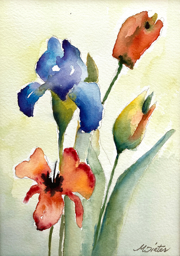 D11 – 8x10
