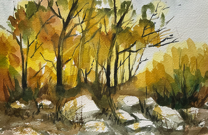 B100 – 11x14