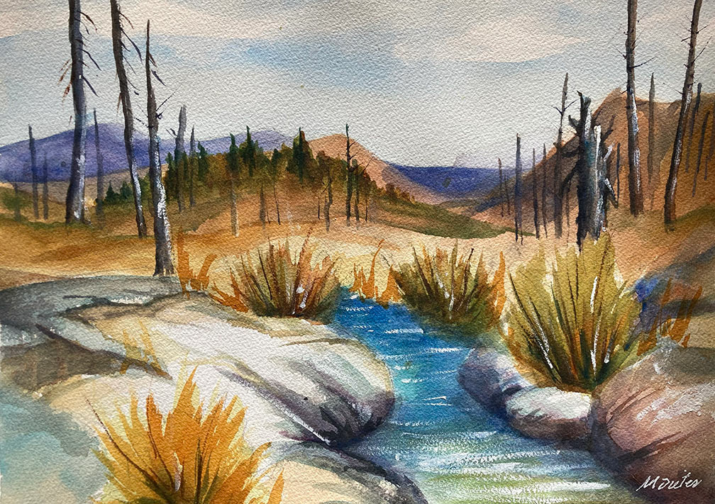 A49 – 16x20