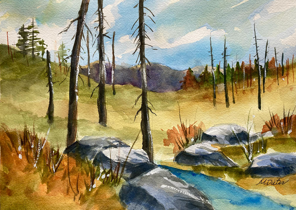 B81 – 11x14
