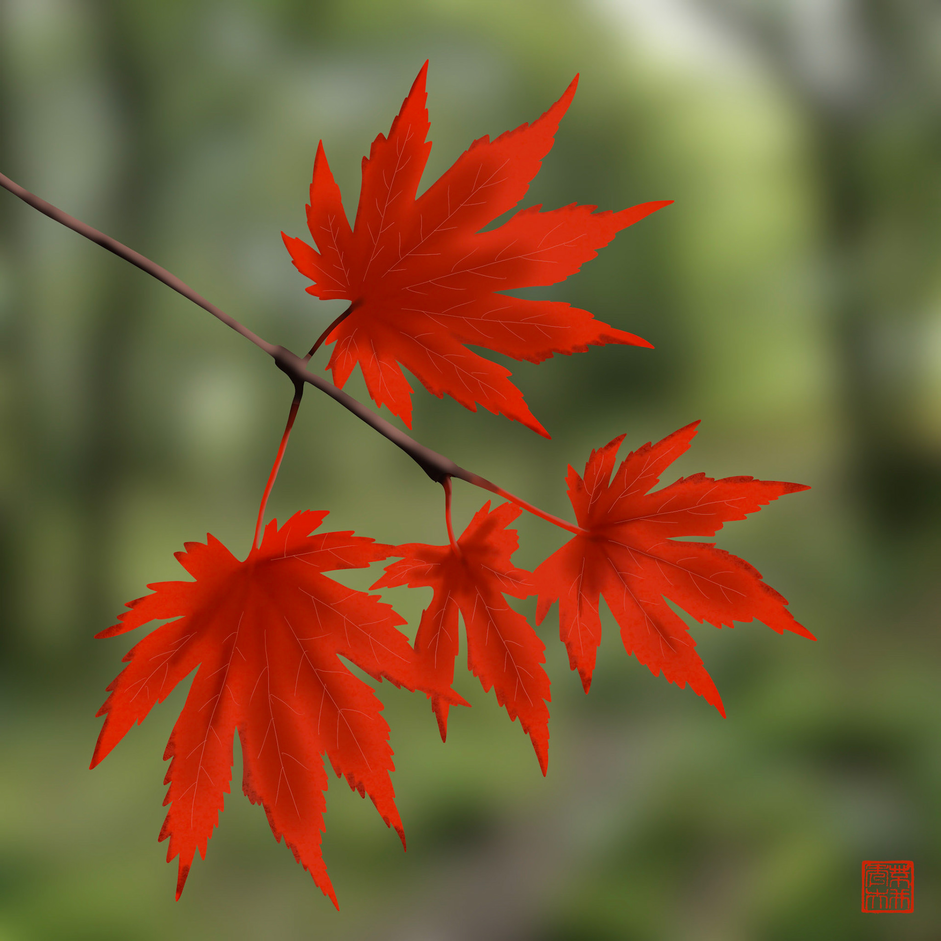 Red Leaves 🍁