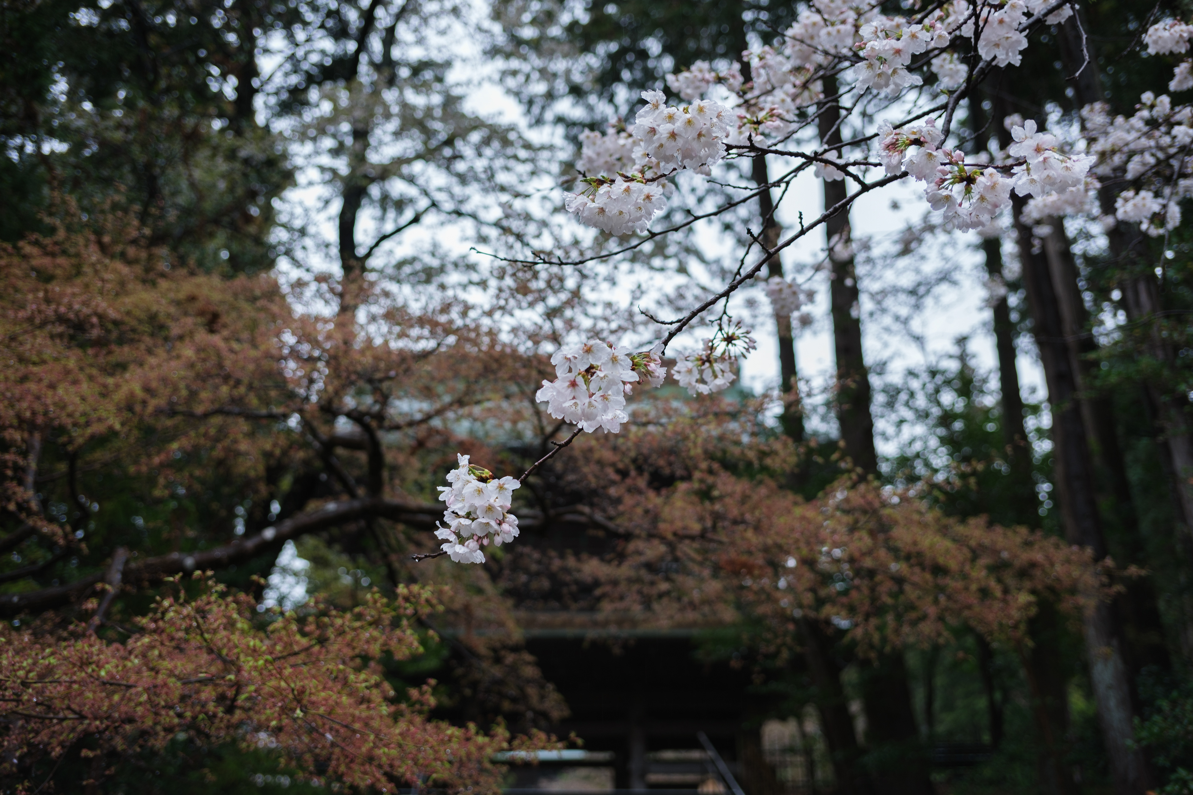 円覚寺