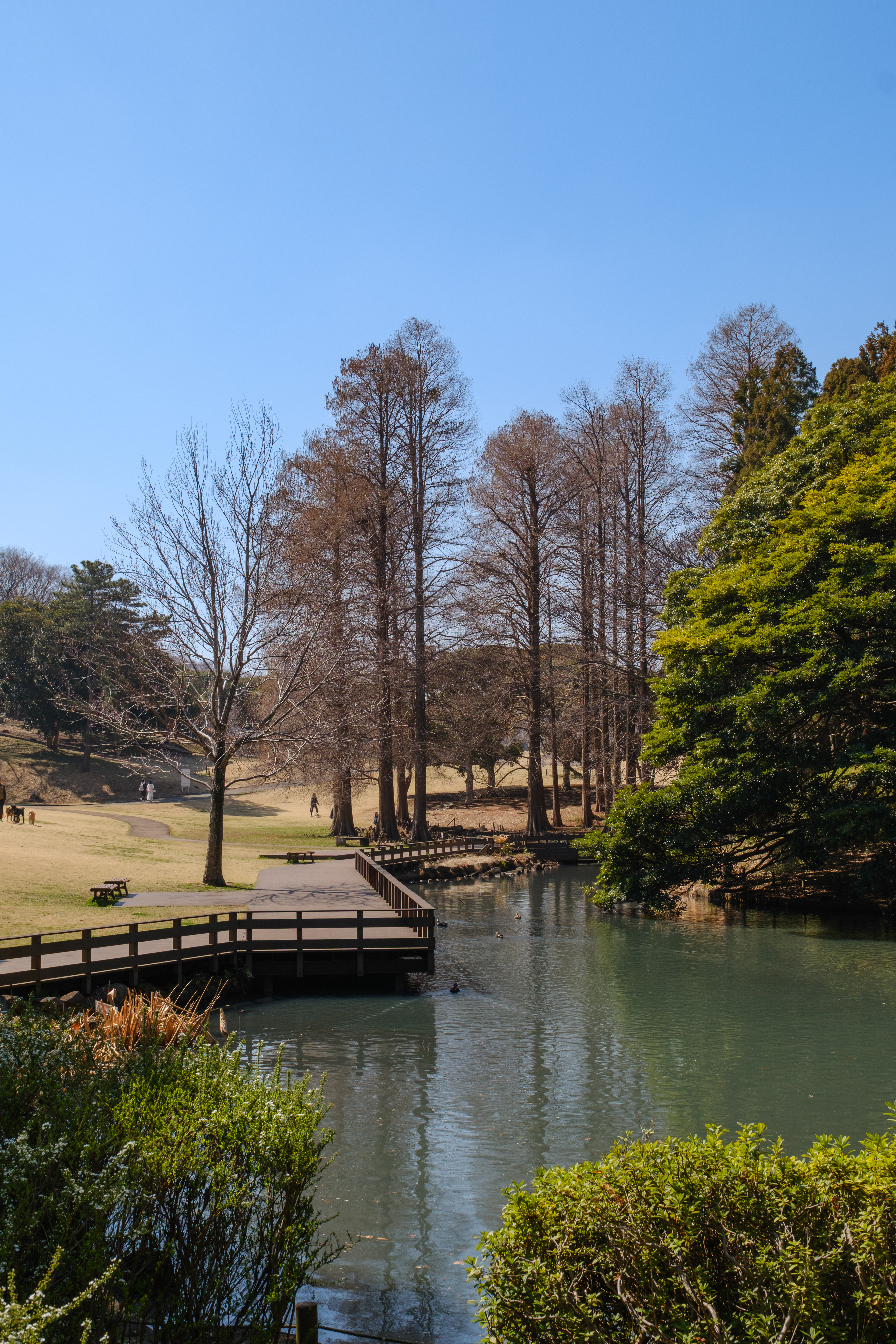 根岸森林公園