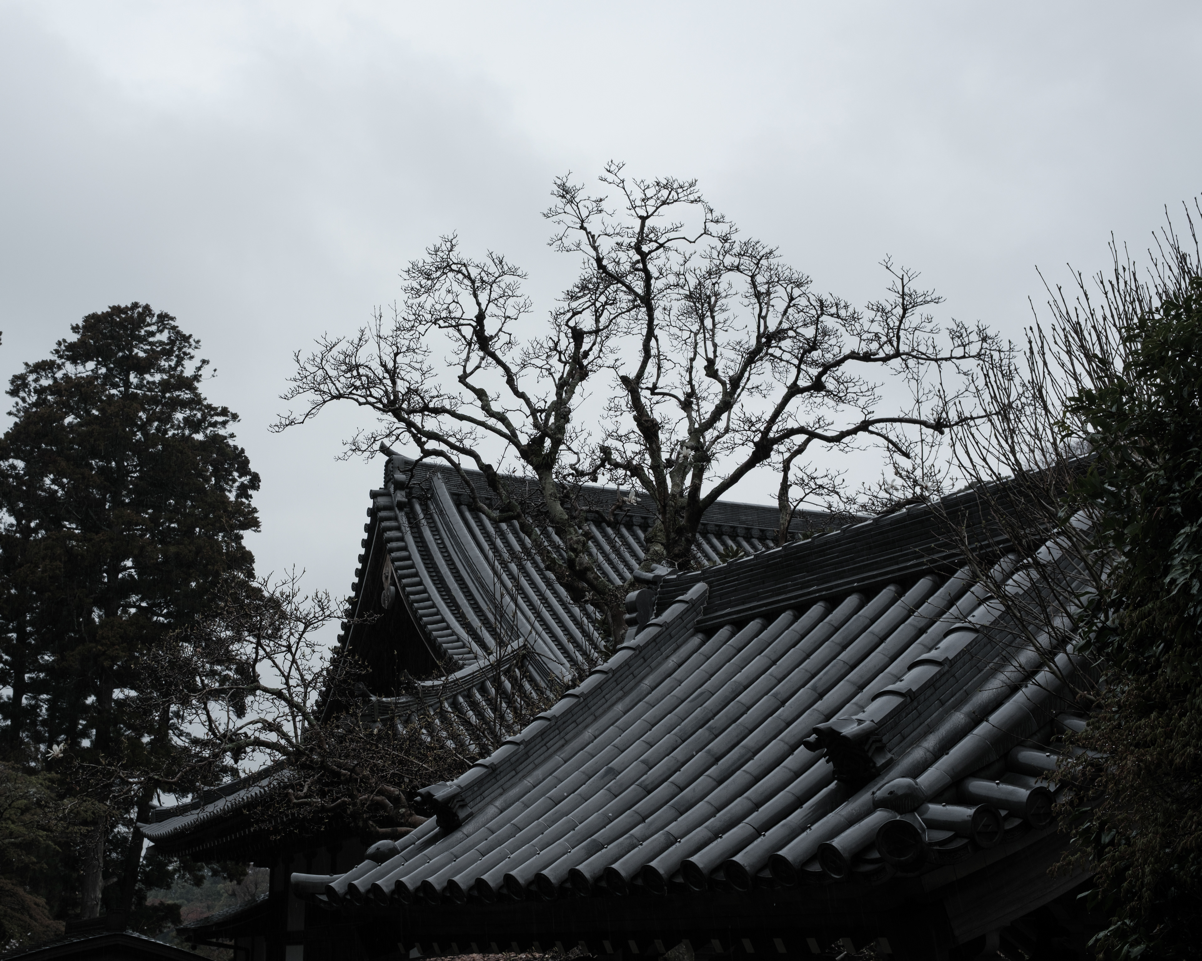 円覚寺