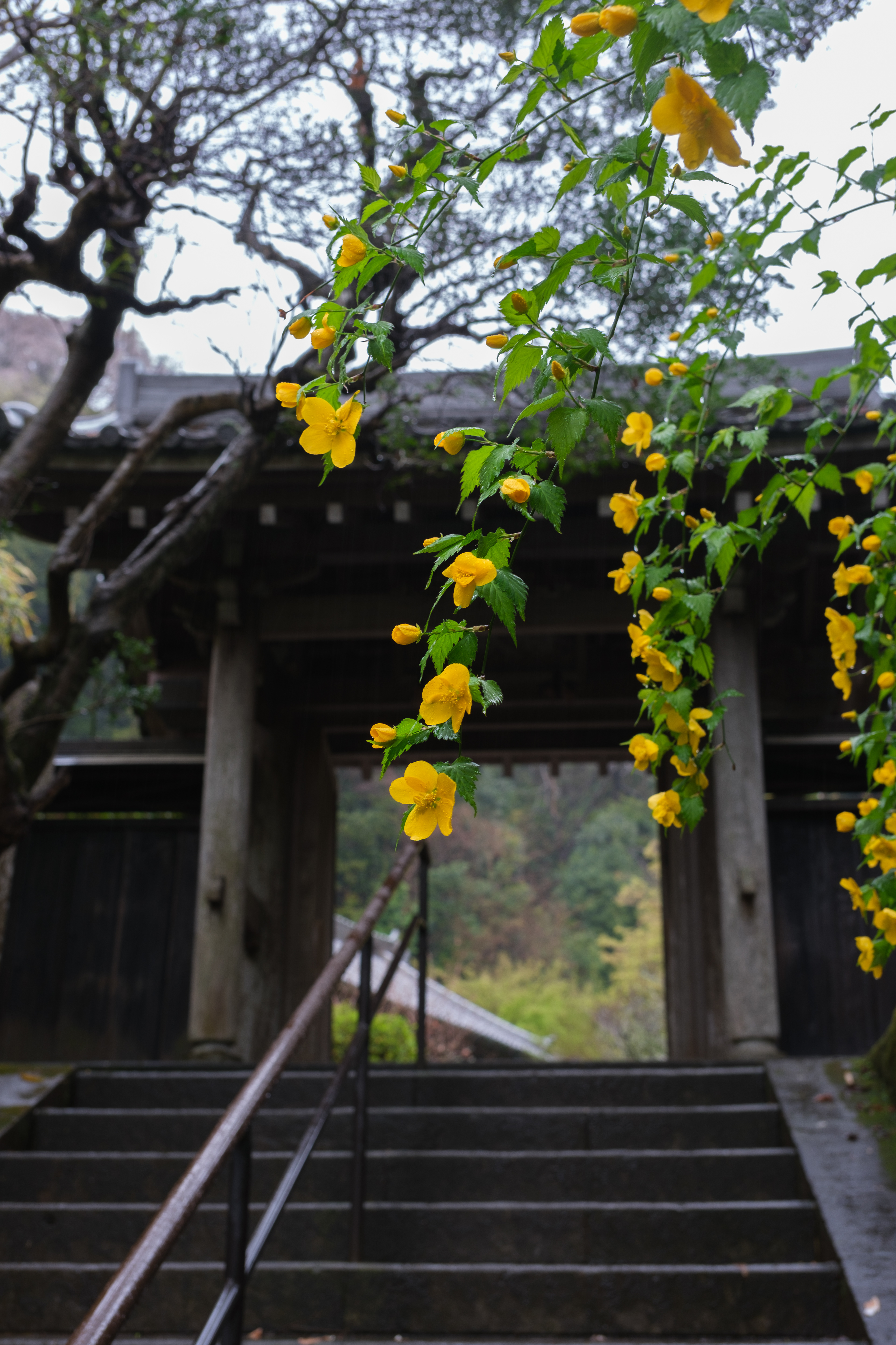 円覚寺