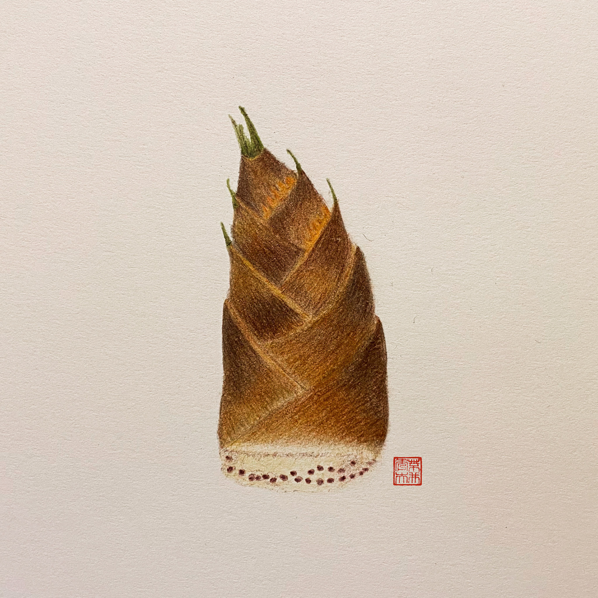 Bamboo Shoot