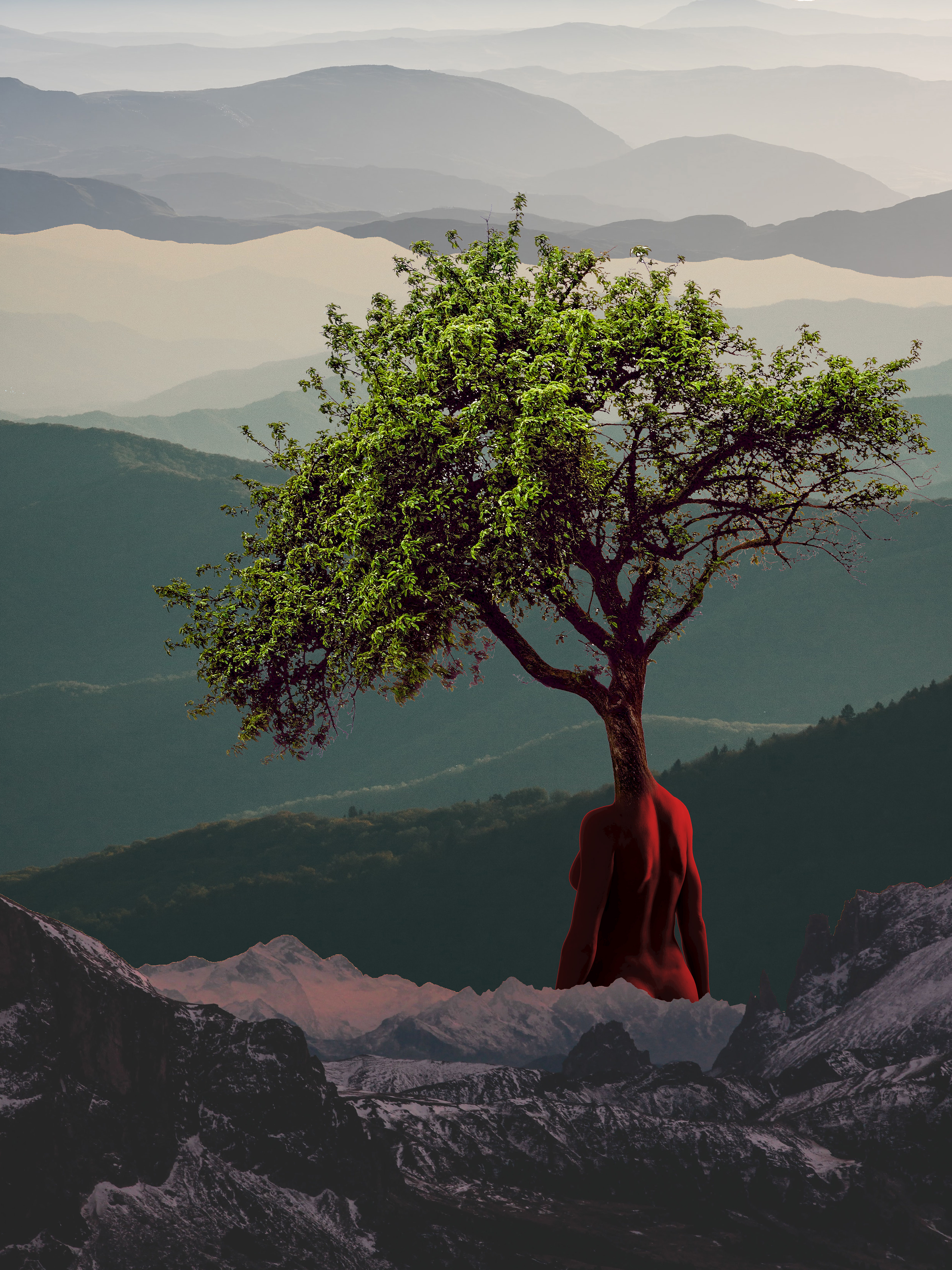 "The tree woman is alive" | 2021