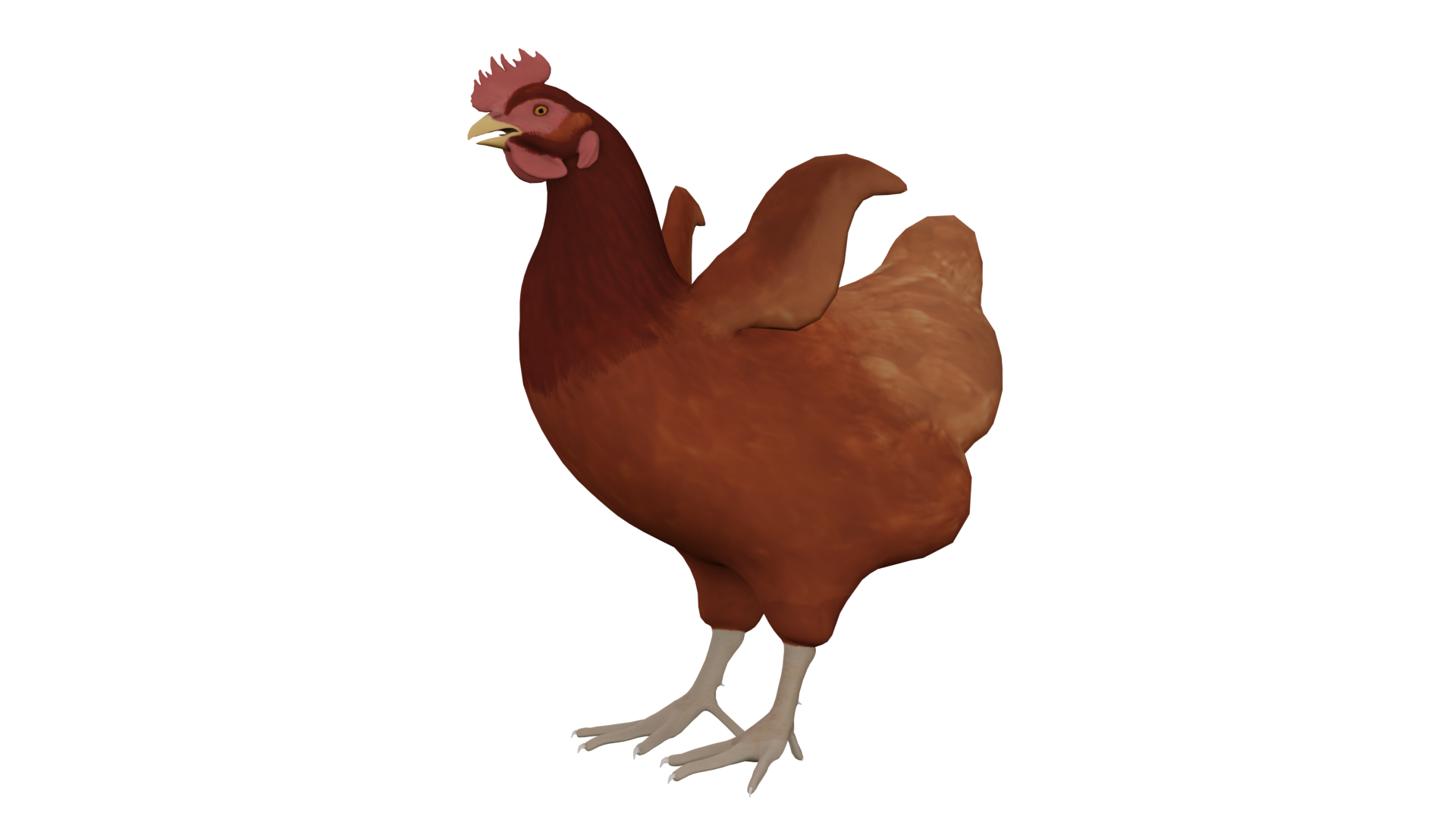 Chicken