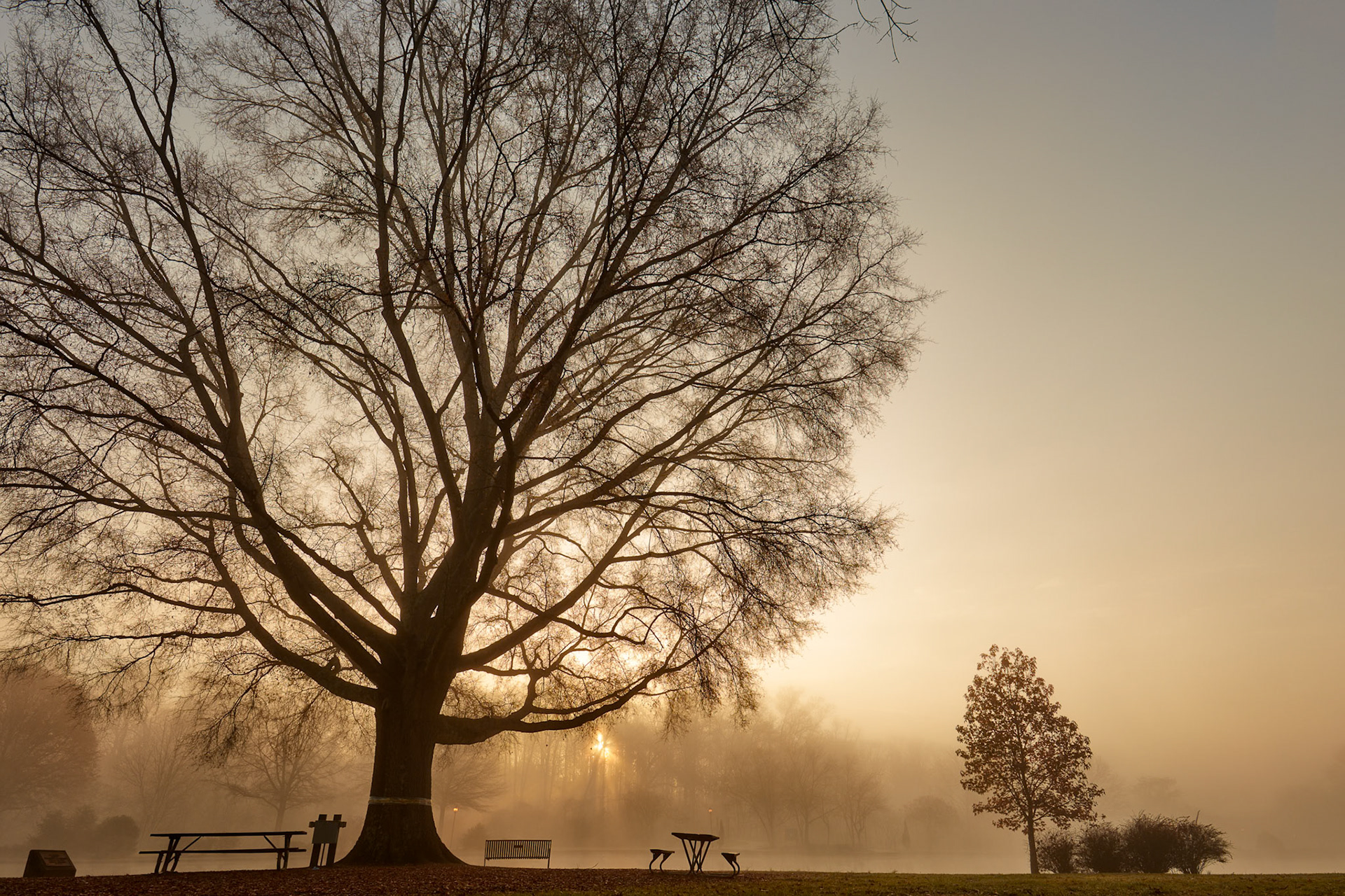 Freedom Park - morning