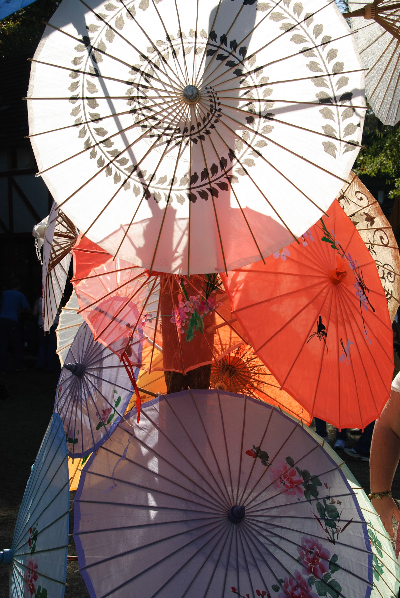 Medevil Fair