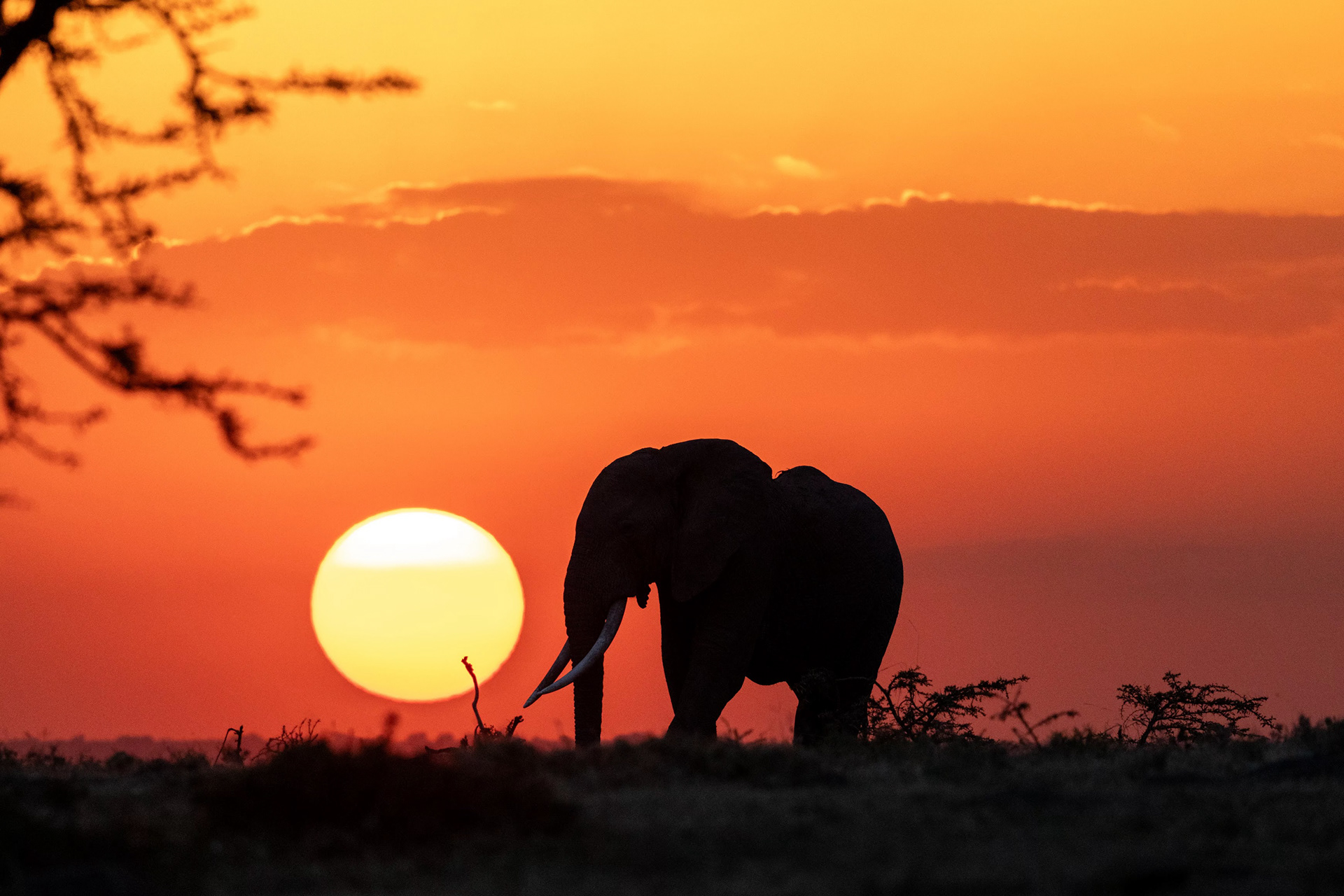 Kenya 2023