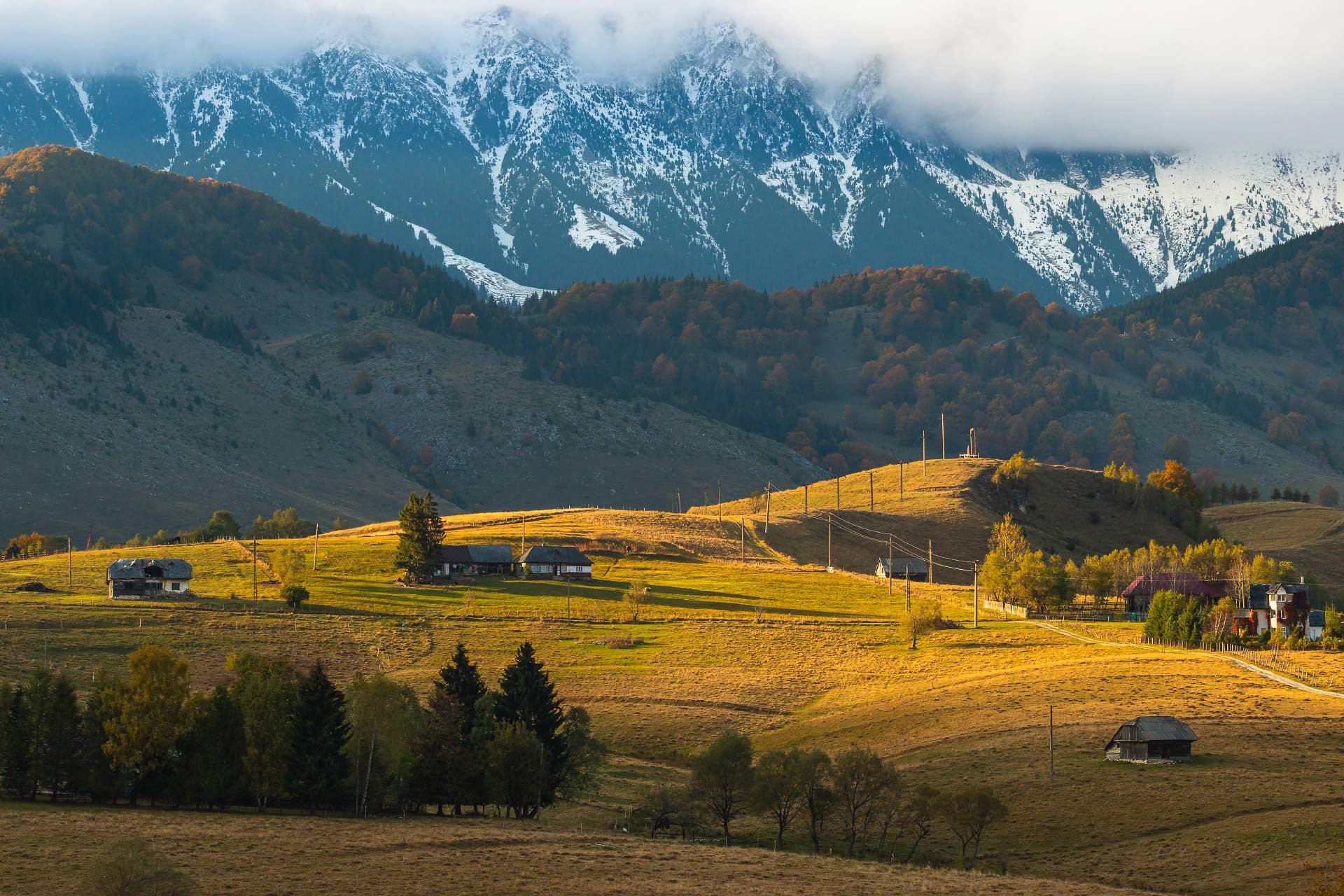Șirnea