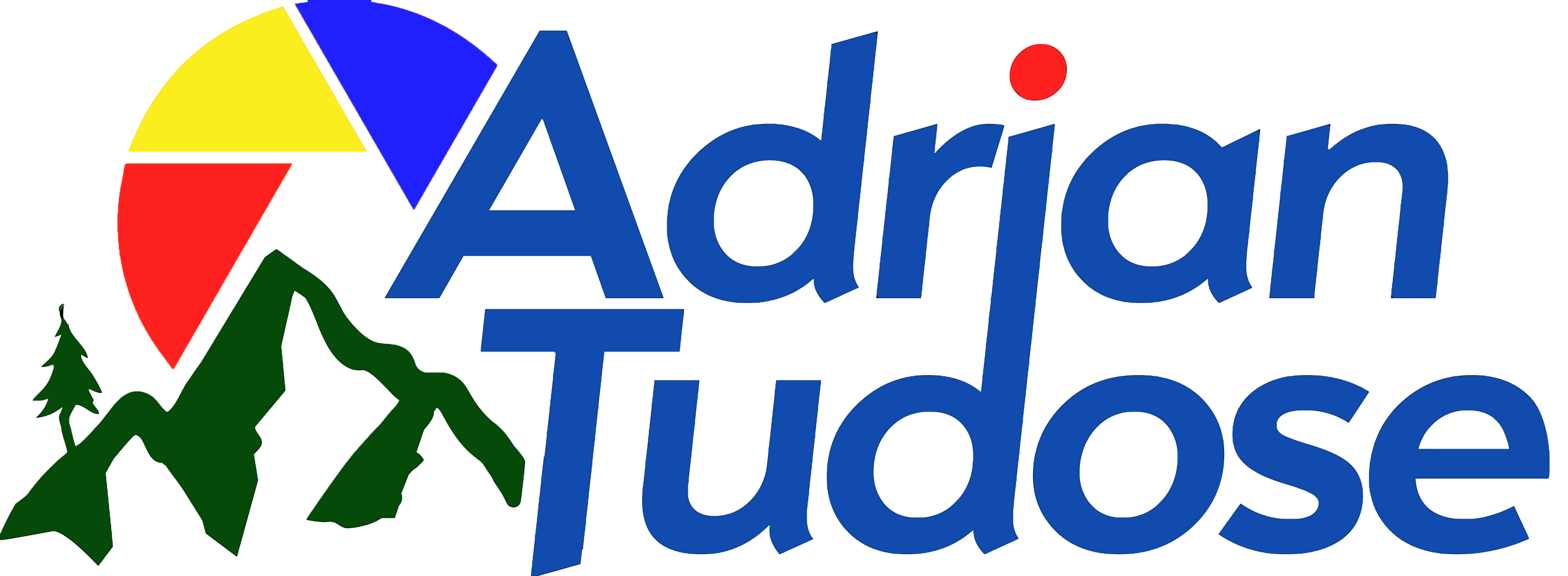 Adrian Tudose