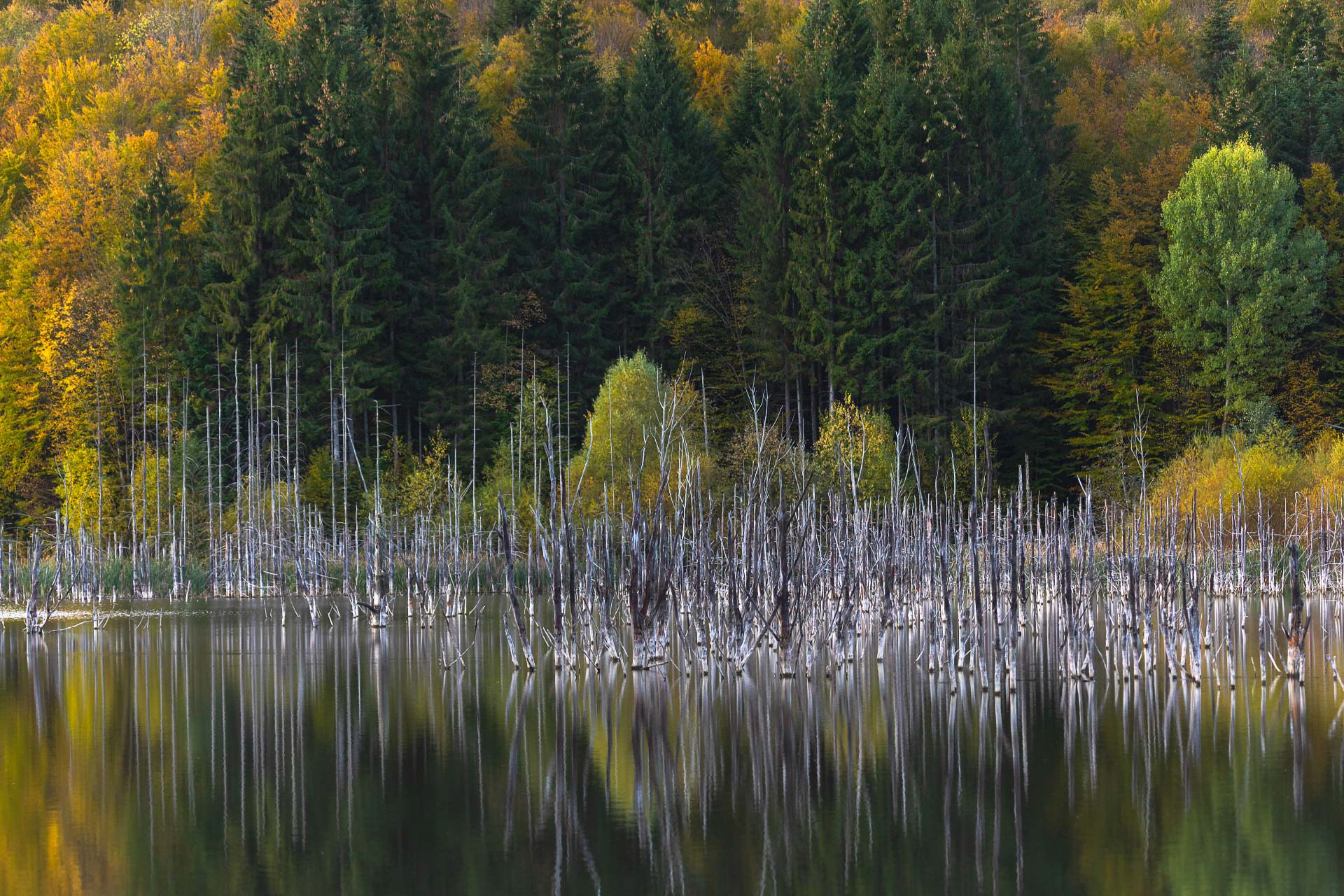 Lacul Cuejdel