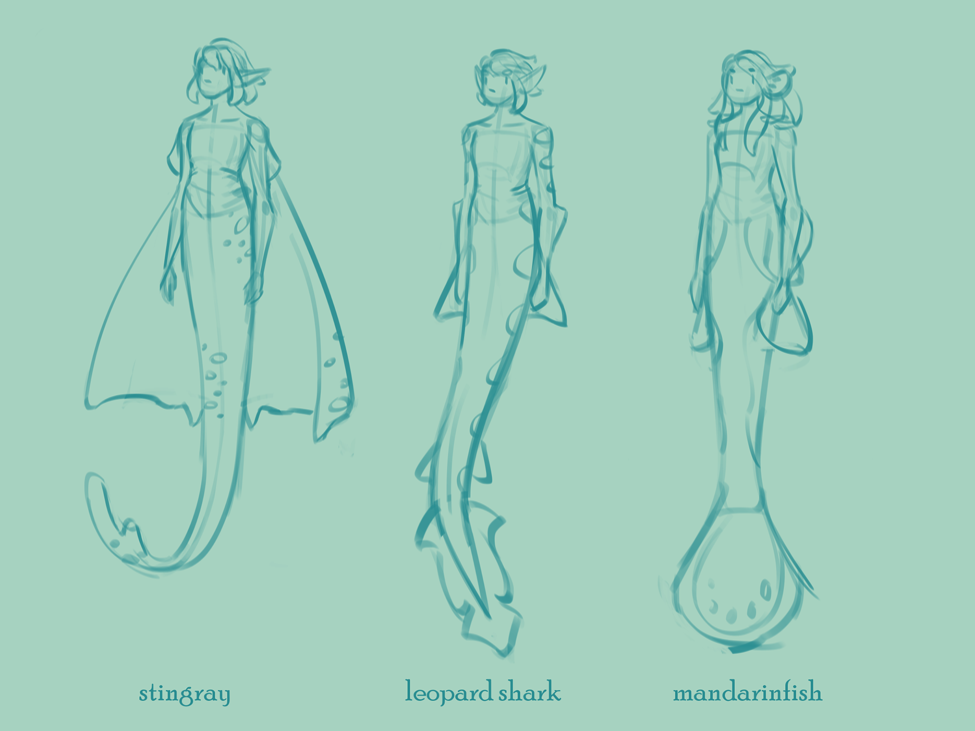 design iterations