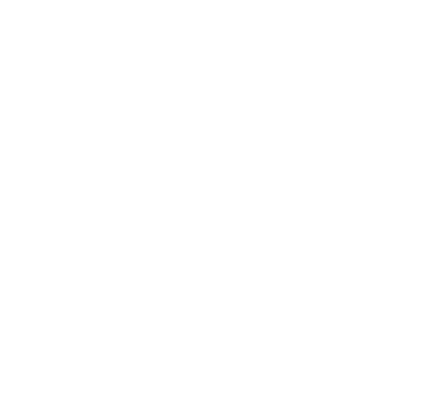 Elsy Hajj