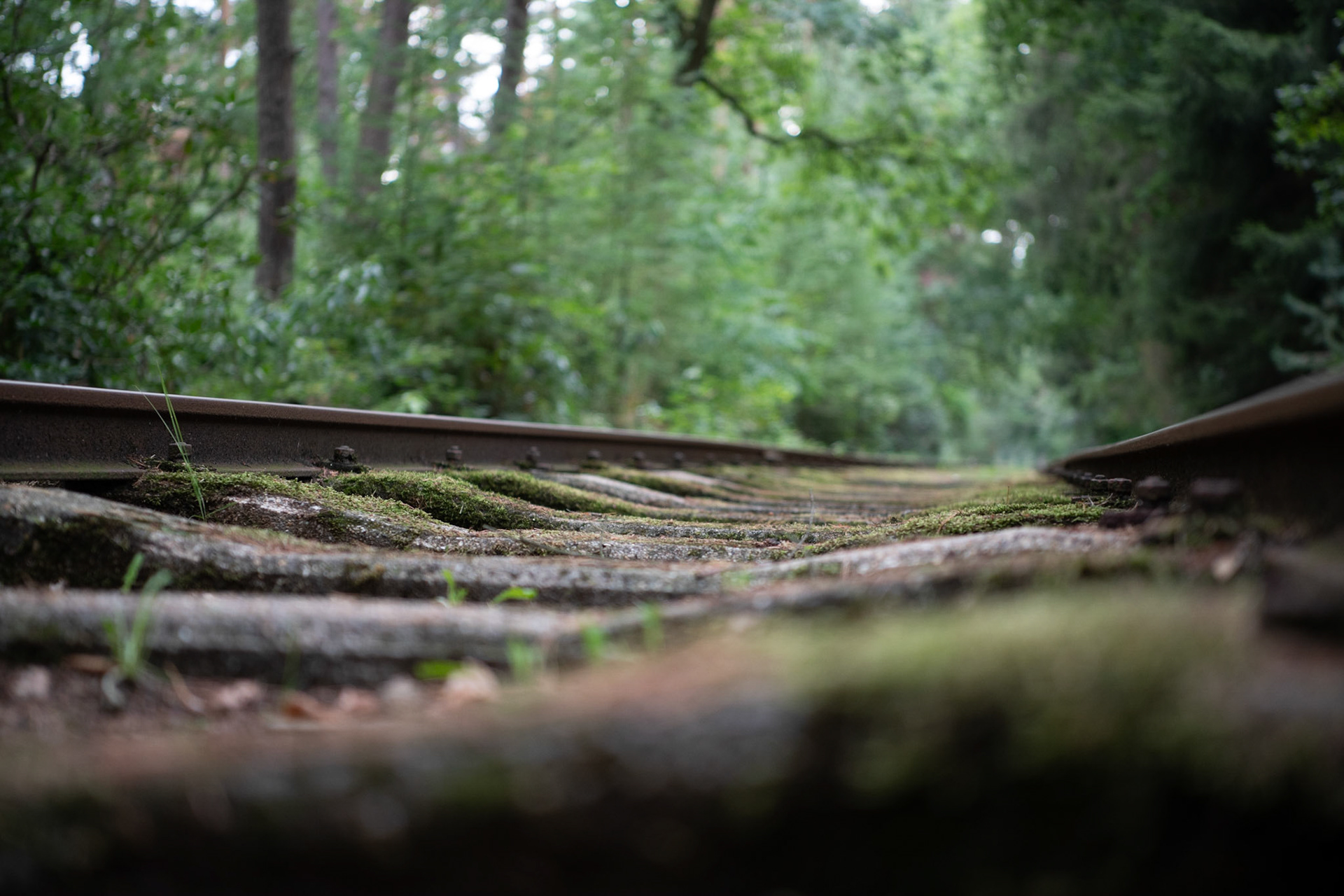 De Uitlegger, Brasschaat