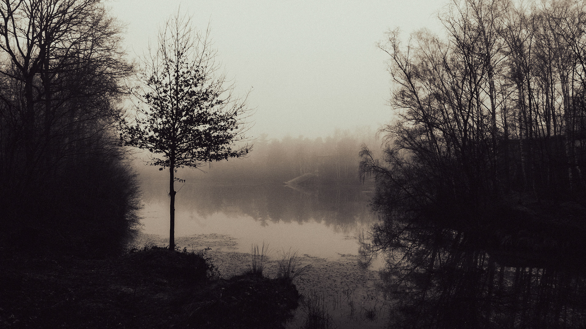 Fort van Brasschaat, Belgium