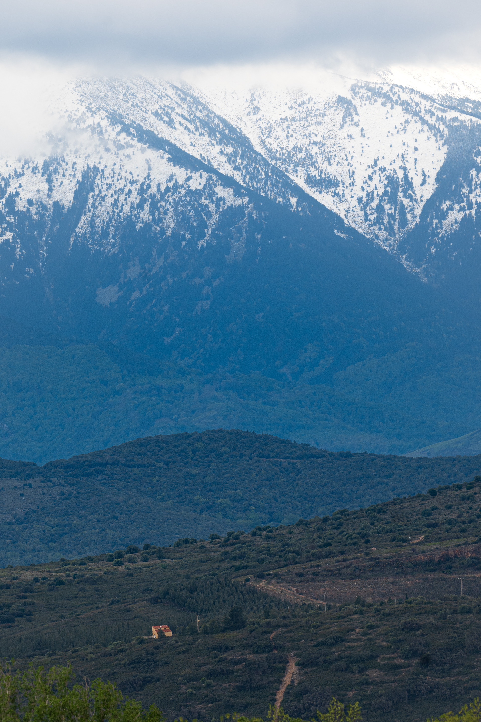 Le Canigou vu du Roussillon