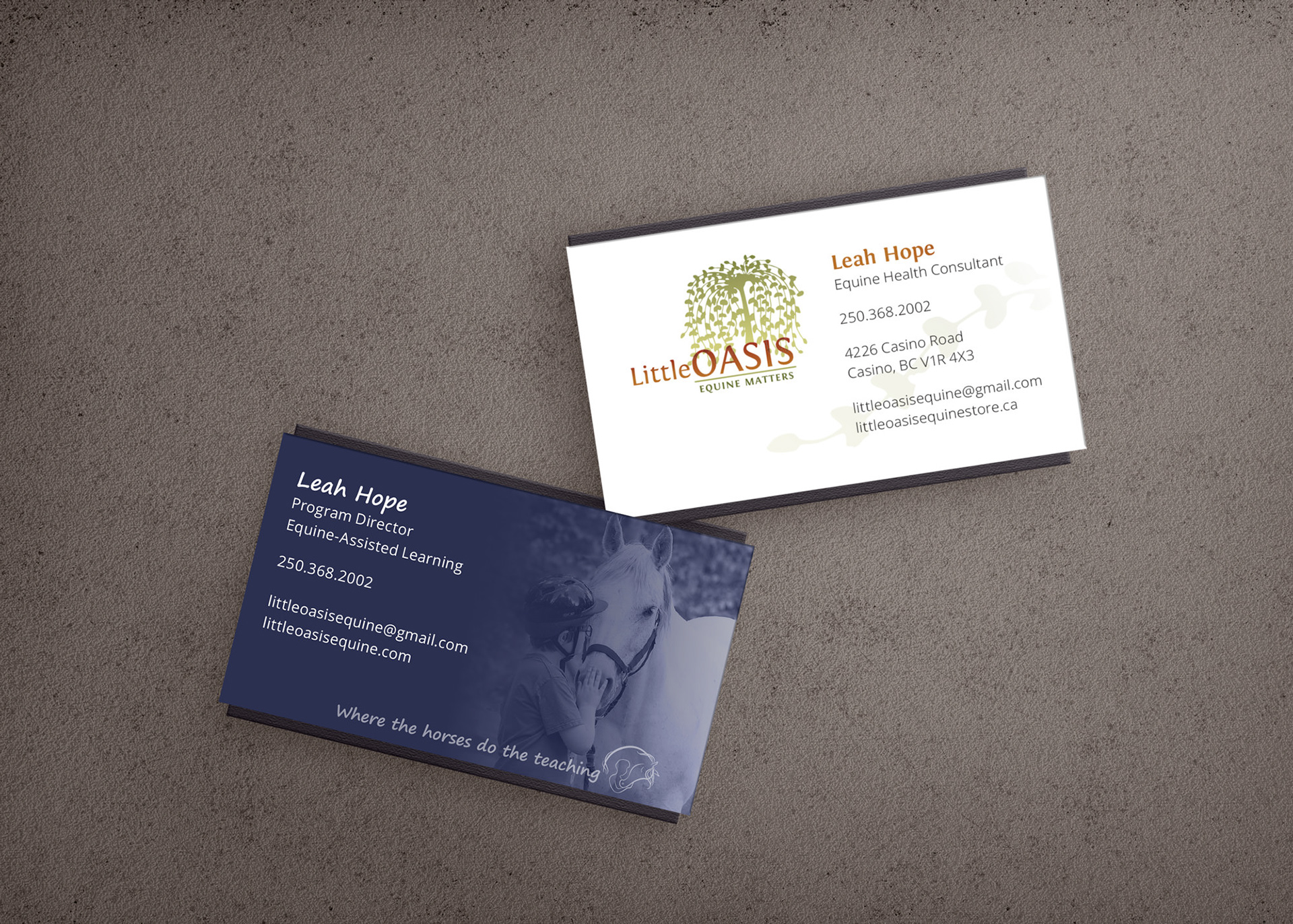 Photo of from and back of Little Oasis Equine Store and EAL business card for Leah Hope