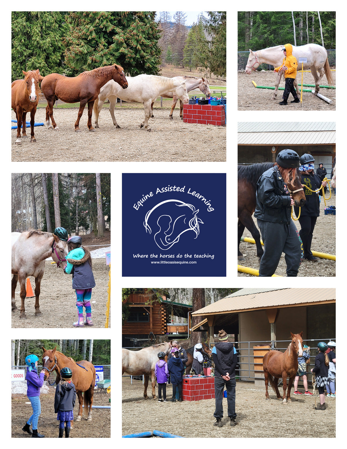 image of 5x7 thank you card for Equine Assisted Learning Programs at Little Oasis Equine