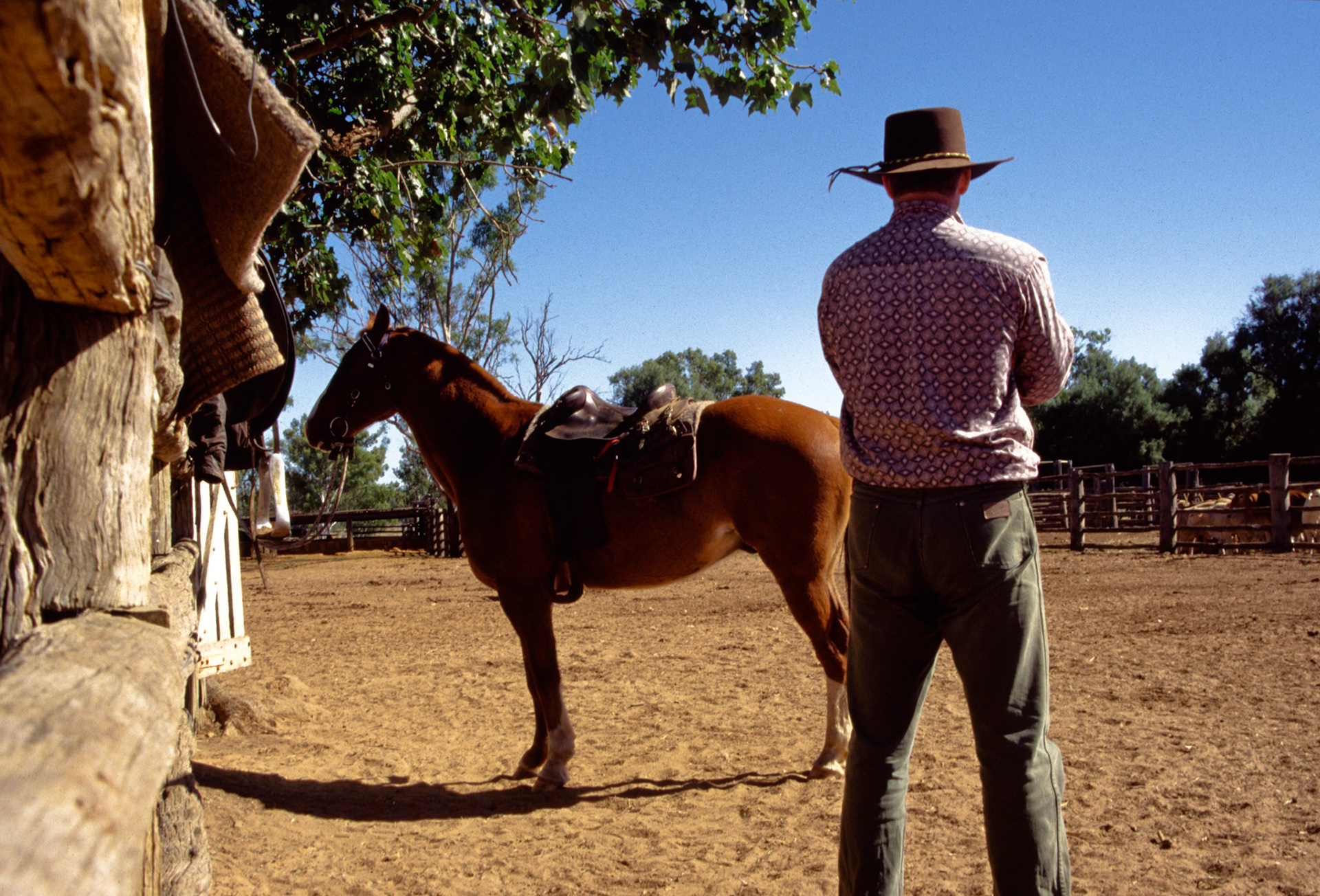 Man preparing to mount a horse