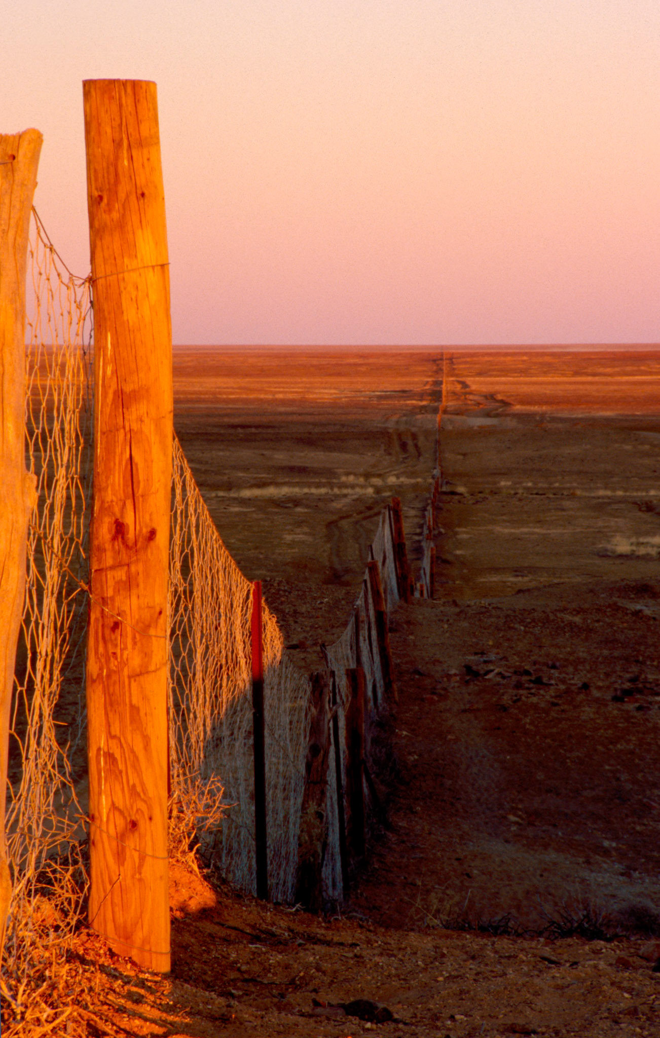 Dingo Fence at Sunset