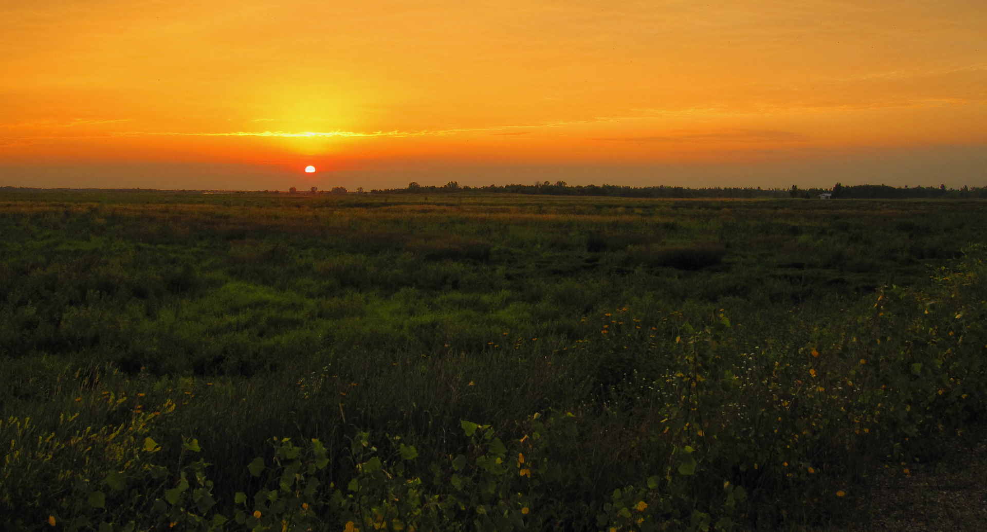 Published Photo: Capture Wisconsin book