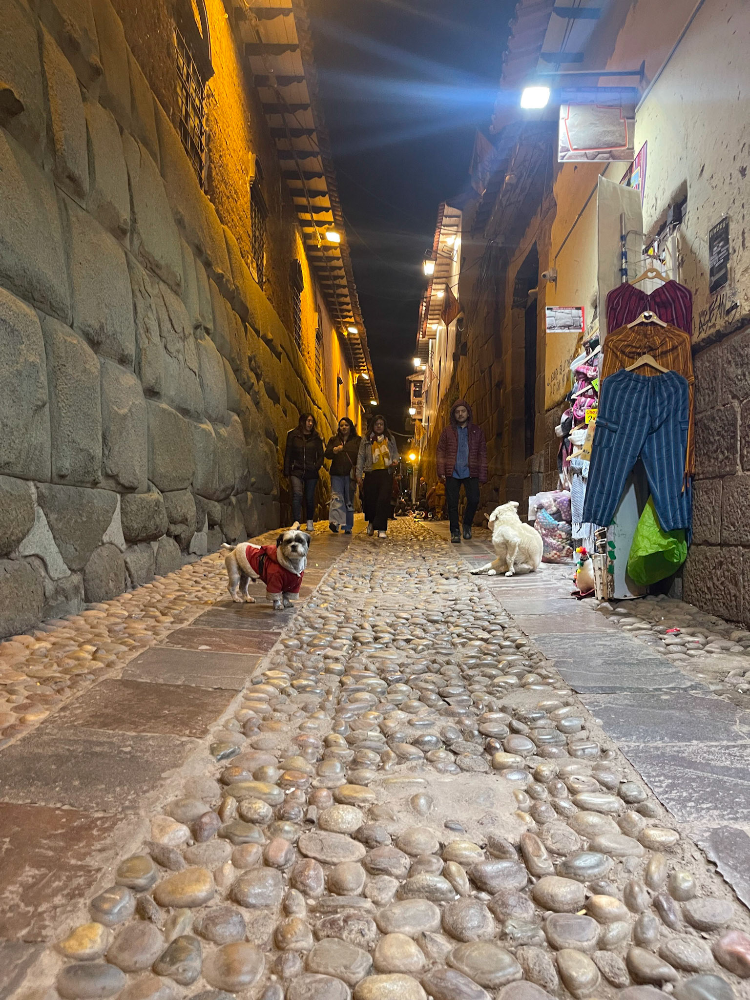 Even the stones remember — a city alive with ancient breath.