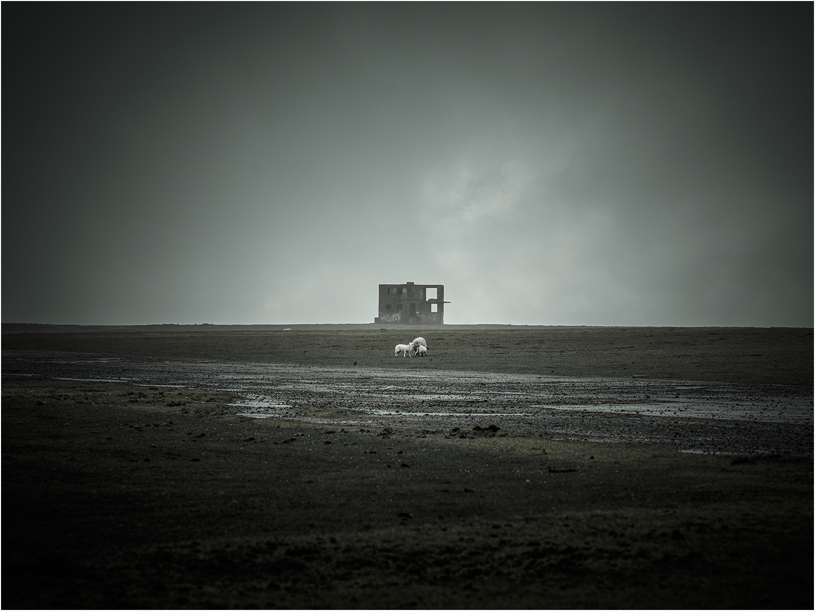 raf davidstow