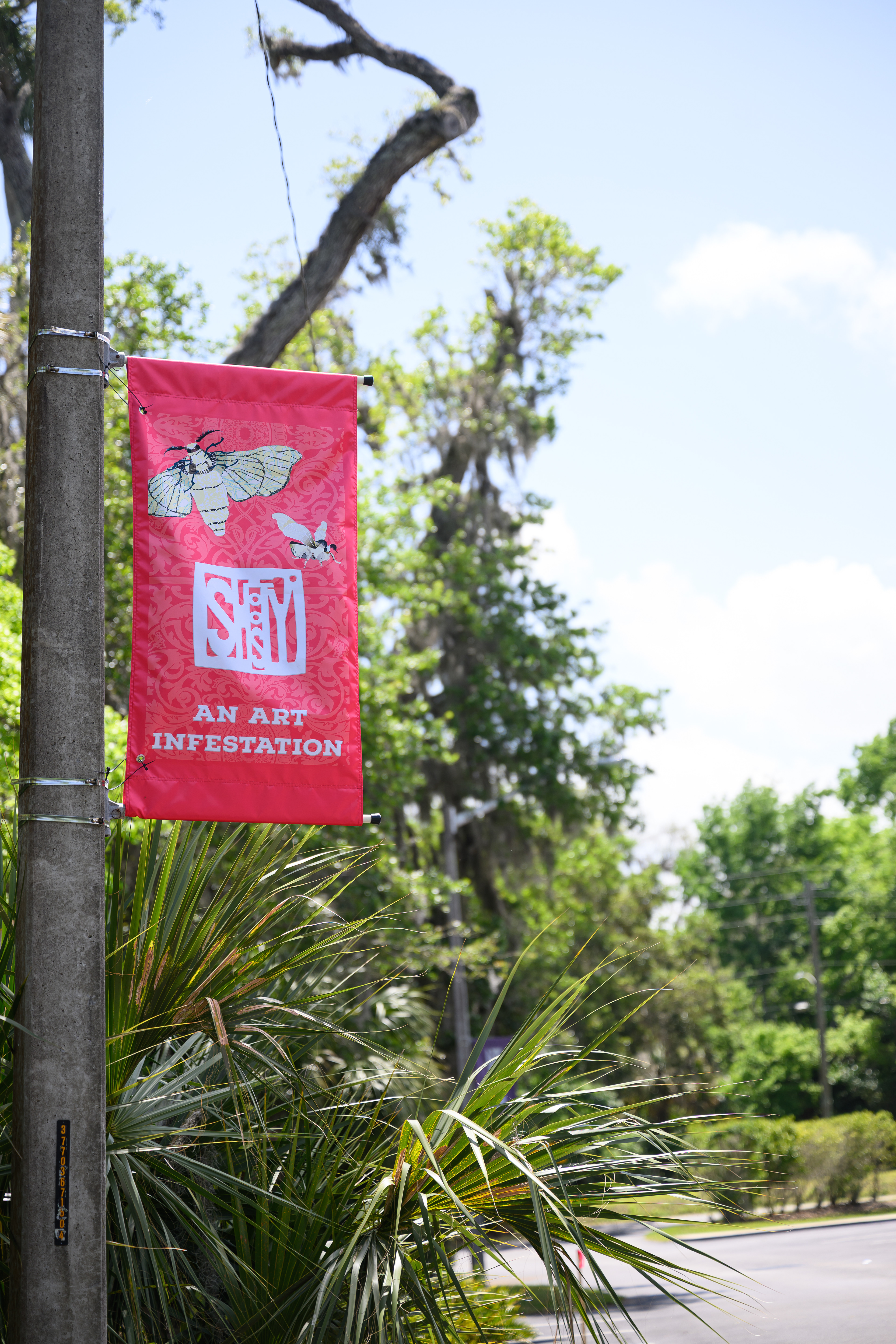 Shoosty Posters on the street