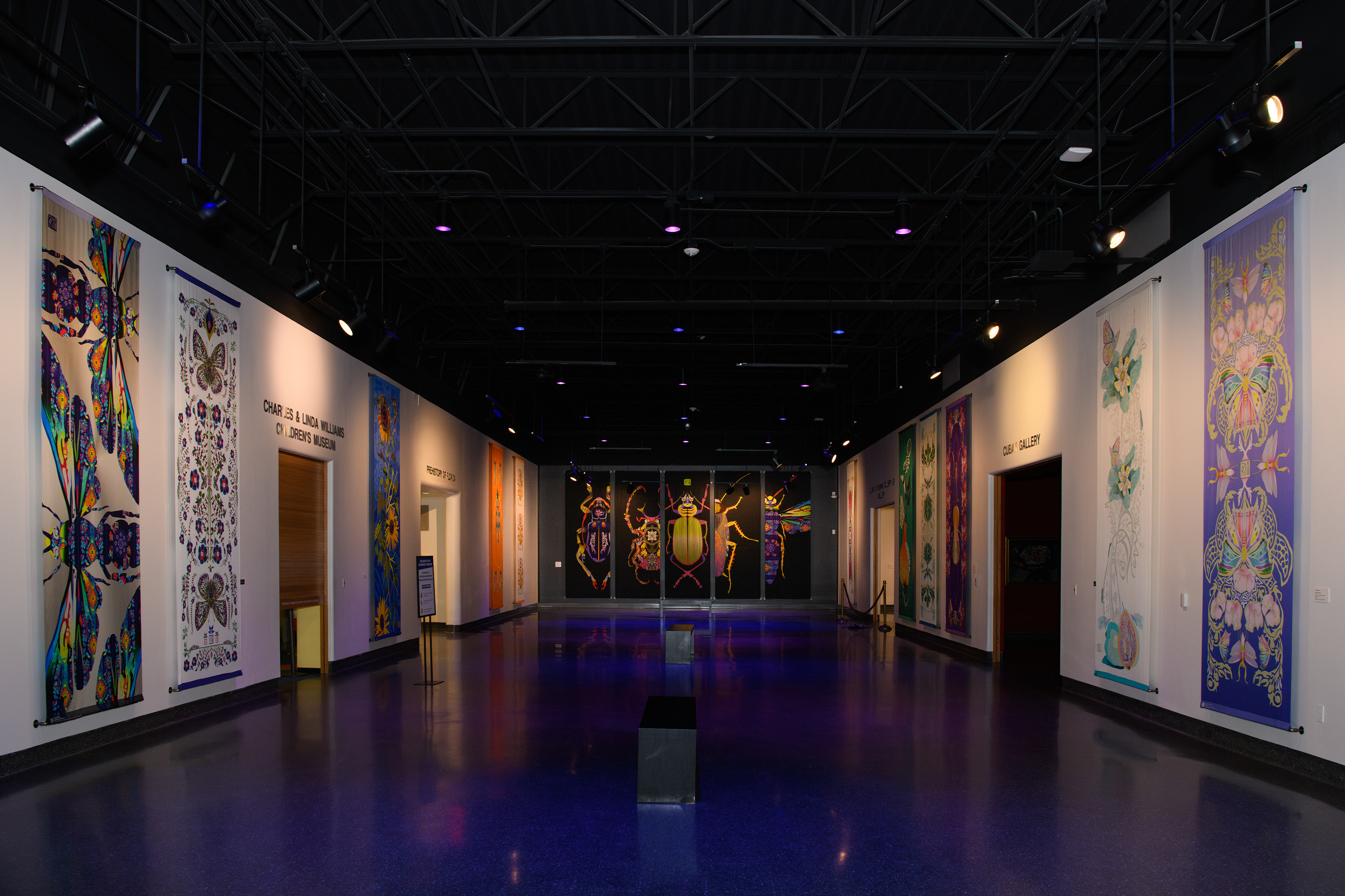 Shoosty Bugs / An Art Infestation