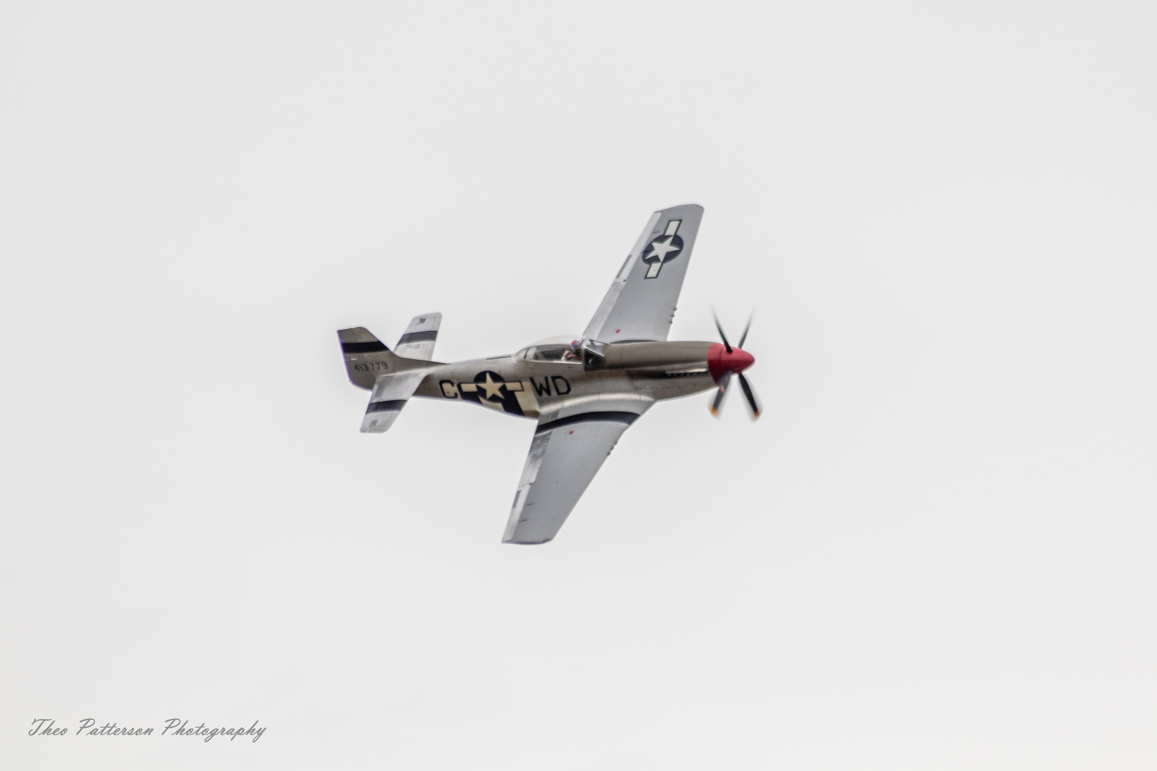 P-51 Mustang "Warhorse"